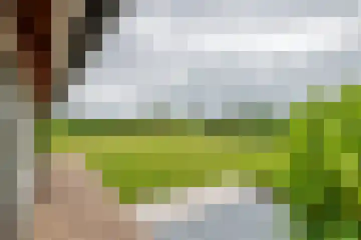 Achterstraat 24 b Varik thumbnail 32