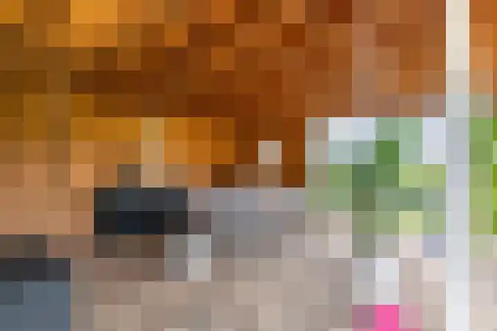 Achterstraat 24 b Varik thumbnail 33