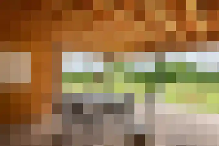 Achterstraat 24 b Varik thumbnail 34