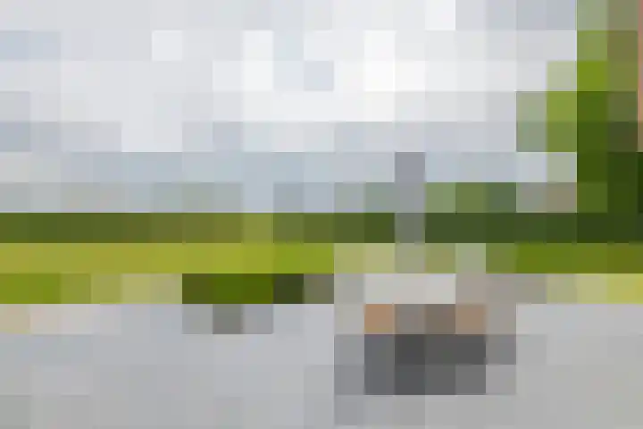 Achterstraat 24 b Varik thumbnail 36