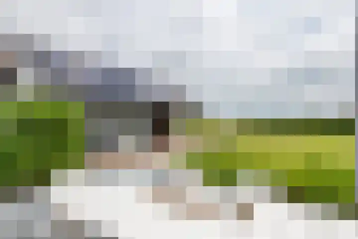 Achterstraat 24 b Varik thumbnail 37