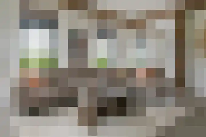 Achterstraat 24 b Varik thumbnail 4