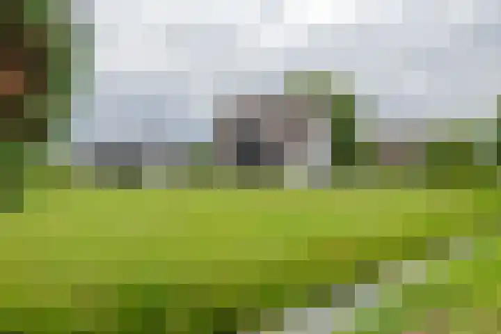 Achterstraat 24 b Varik thumbnail 40