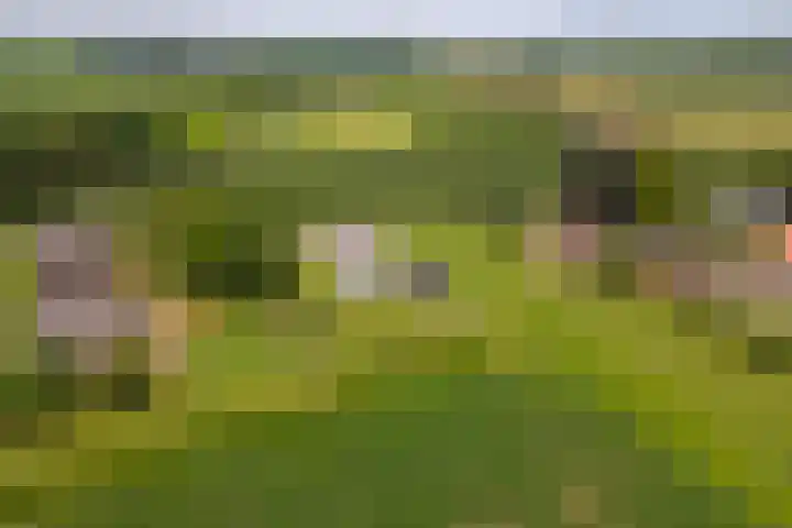 Achterstraat 24 b Varik thumbnail 41