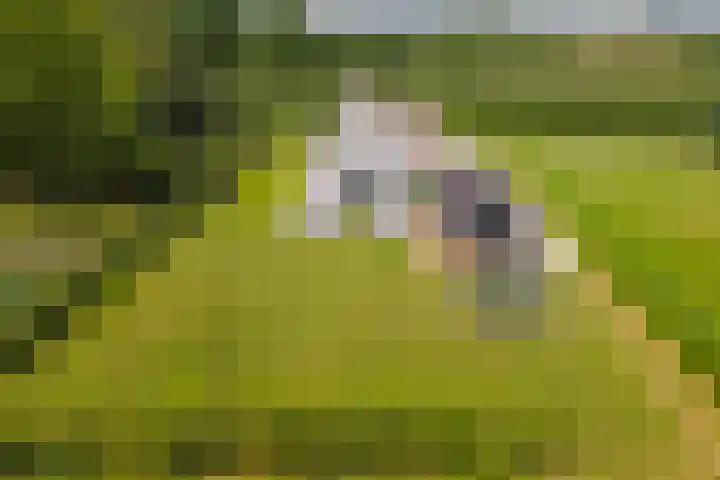 Achterstraat 24 b Varik thumbnail 42
