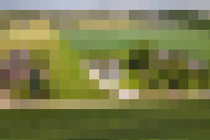 Achterstraat 24 b Varik thumbnail 44