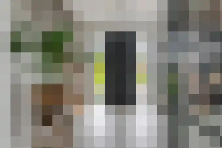 Achterstraat 24 b Varik thumbnail 46