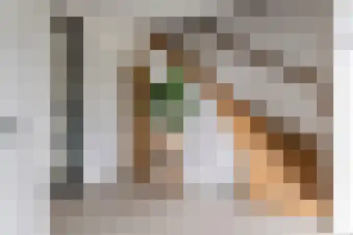 Achterstraat 24 b Varik thumbnail 47