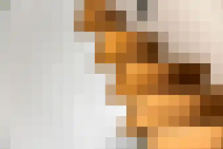 Achterstraat 24 b Varik thumbnail 48