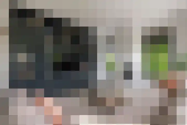 Achterstraat 24 b Varik thumbnail 5