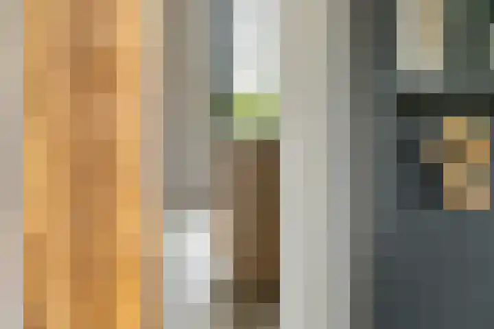 Achterstraat 24 b Varik thumbnail 52