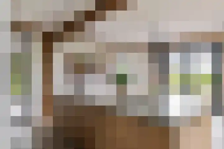 Achterstraat 24 b Varik thumbnail 54