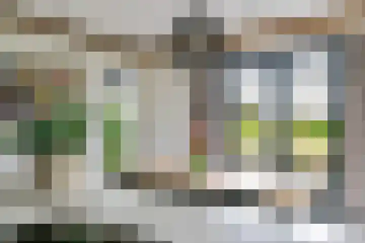 Achterstraat 24 b Varik thumbnail 56