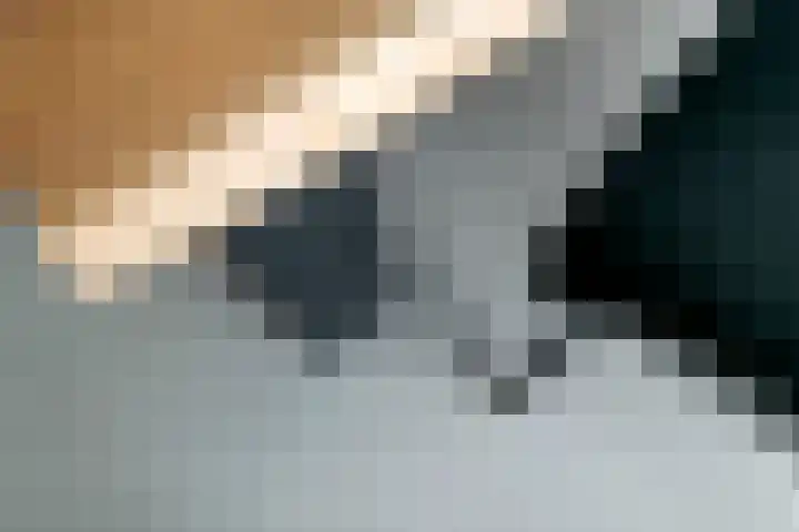 Achterstraat 24 b Varik thumbnail 57