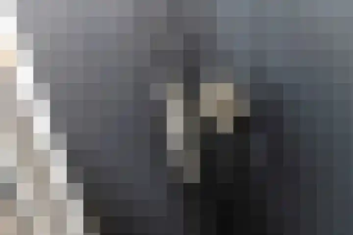 Achterstraat 24 b Varik thumbnail 58