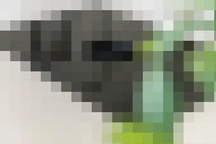Achterstraat 24 b Varik thumbnail 59