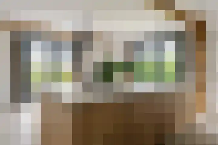 Achterstraat 24 b Varik thumbnail 60