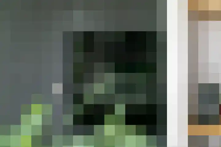Achterstraat 24 b Varik thumbnail 61