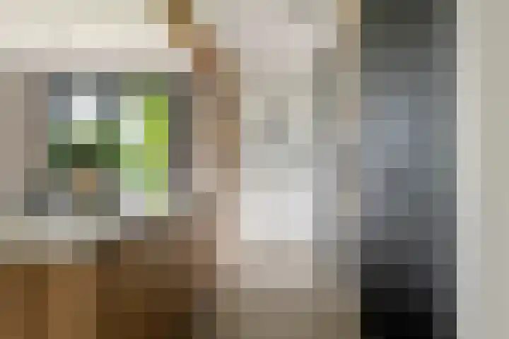 Achterstraat 24 b Varik thumbnail 62