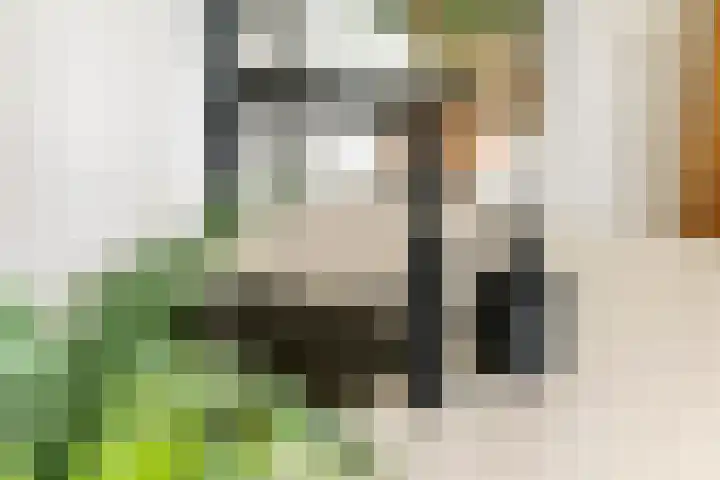 Achterstraat 24 b Varik thumbnail 63