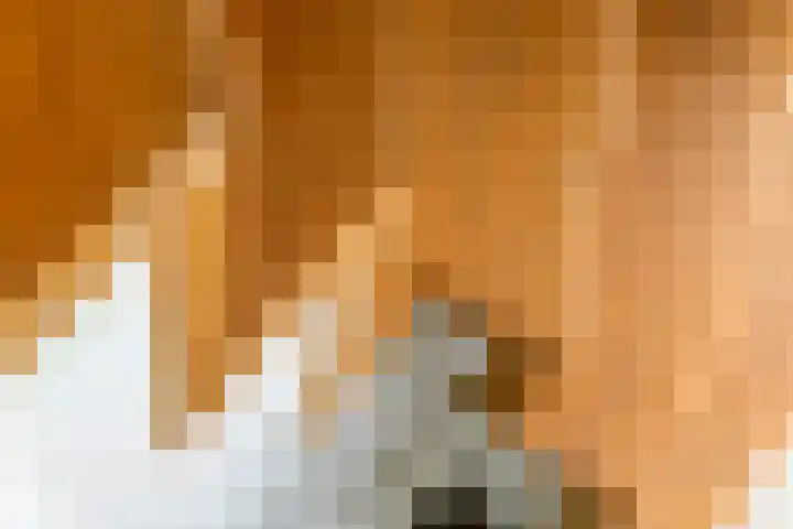 Achterstraat 24 b Varik thumbnail 65