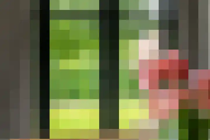 Achterstraat 24 b Varik thumbnail 69