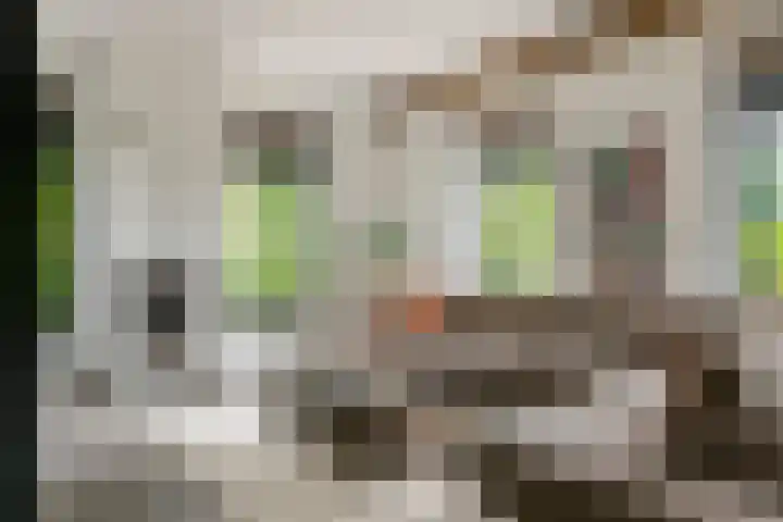 Achterstraat 24 b Varik thumbnail 70