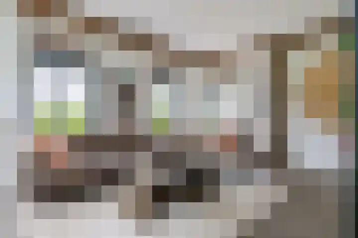 Achterstraat 24 b Varik thumbnail 73