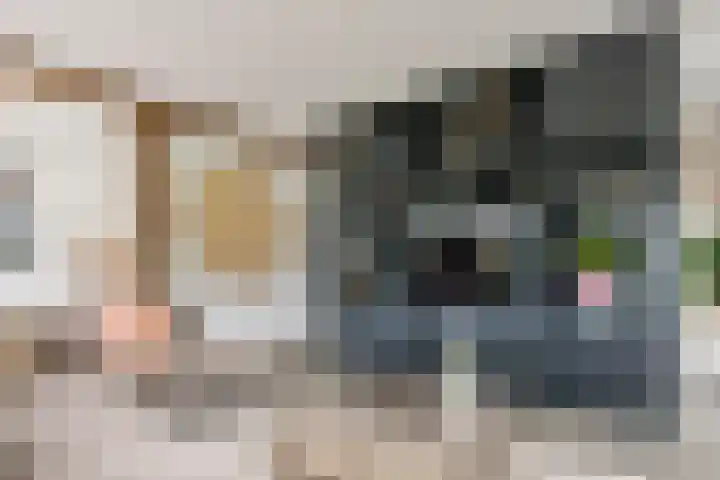 Achterstraat 24 b Varik thumbnail 74