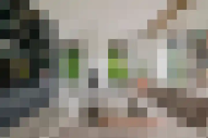 Achterstraat 24 b Varik thumbnail 78
