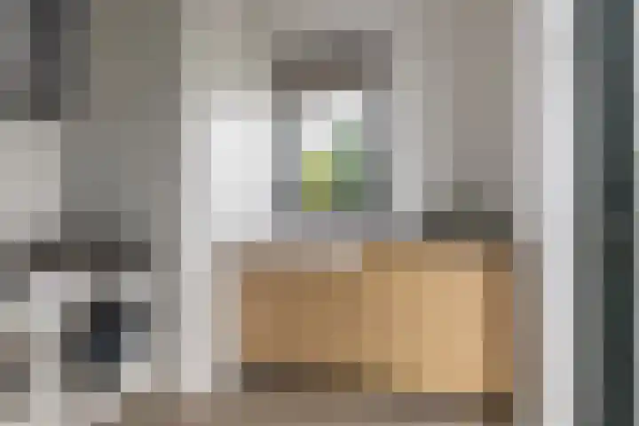 Achterstraat 24 b Varik thumbnail 80