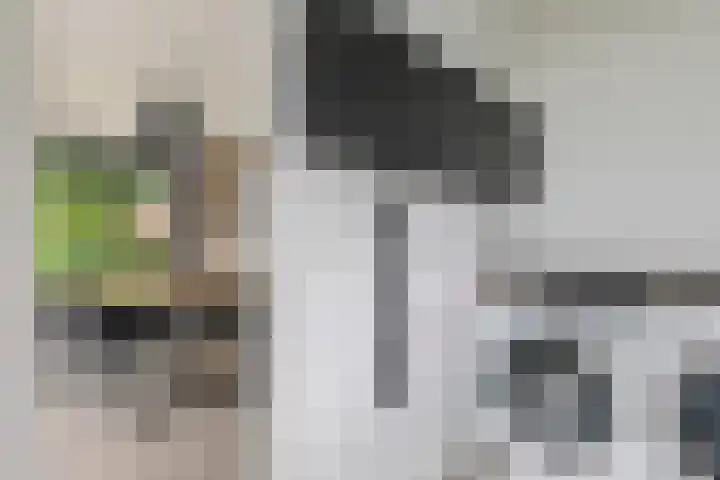 Achterstraat 24 b Varik thumbnail 81