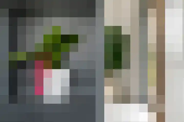 Achterstraat 24 b Varik thumbnail 82