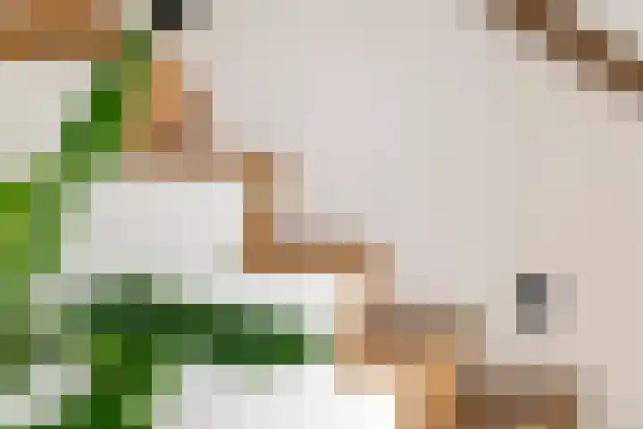 Achterstraat 24 b Varik thumbnail 83