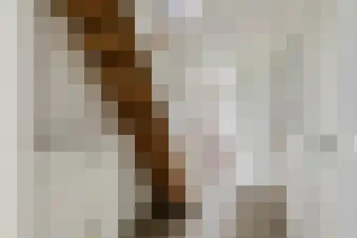 Achterstraat 24 b Varik thumbnail 97