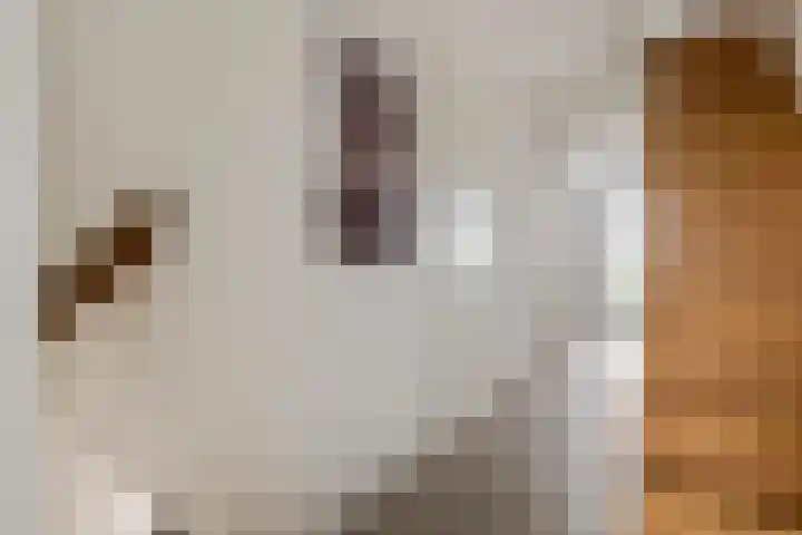 Achterstraat 24 b Varik thumbnail 98