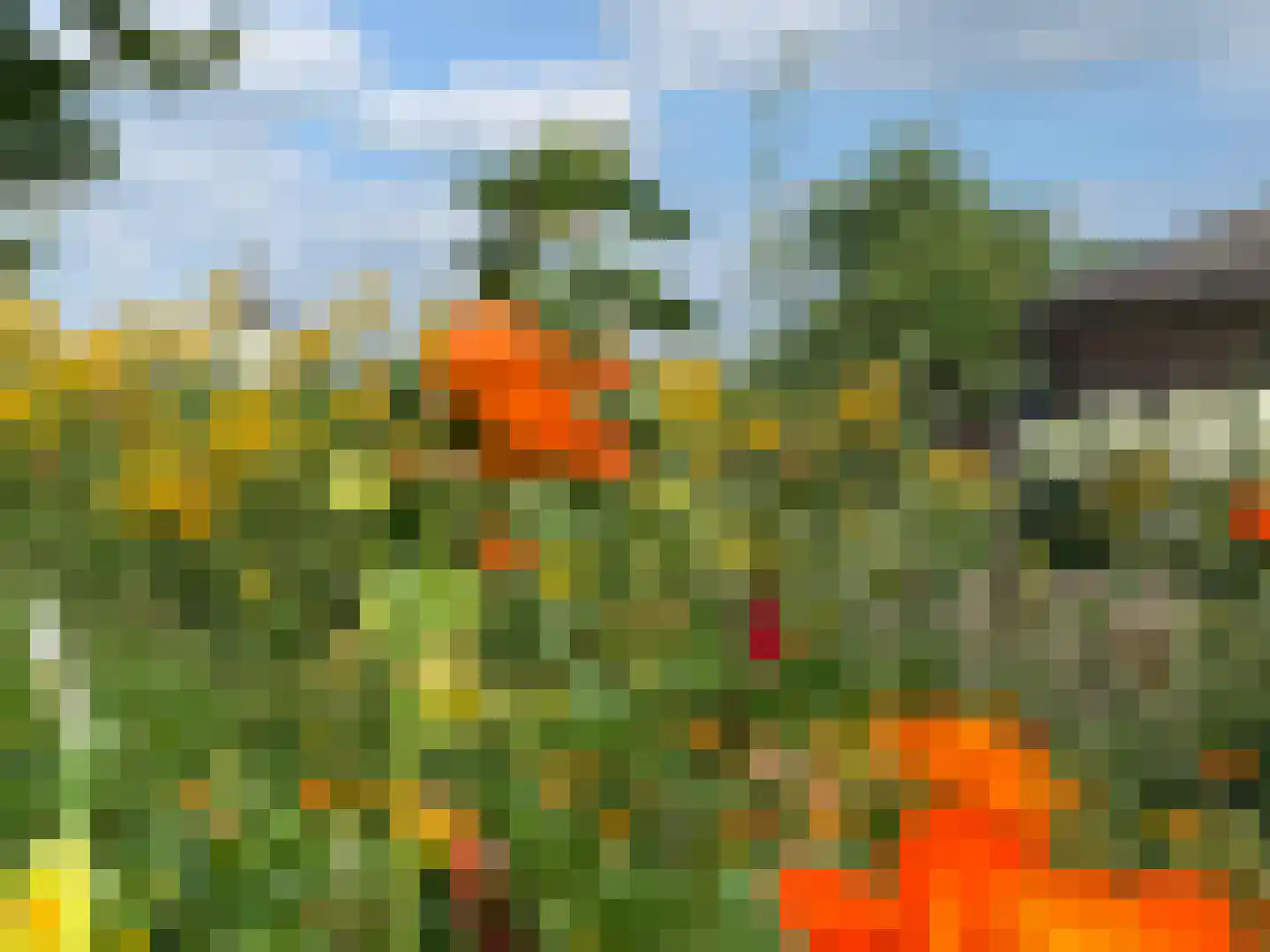 Achterstraat 24 Varik thumbnail 23