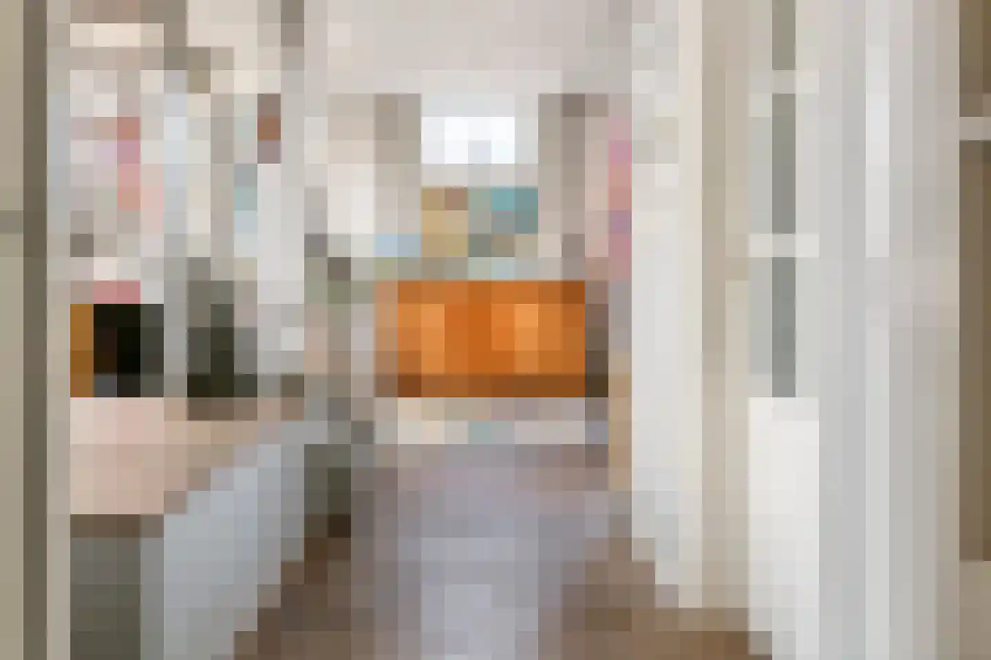 Achterstraat 24 Varik thumbnail 24