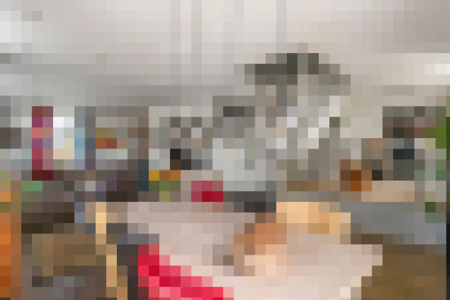 Achterstraat 24 Varik thumbnail 32