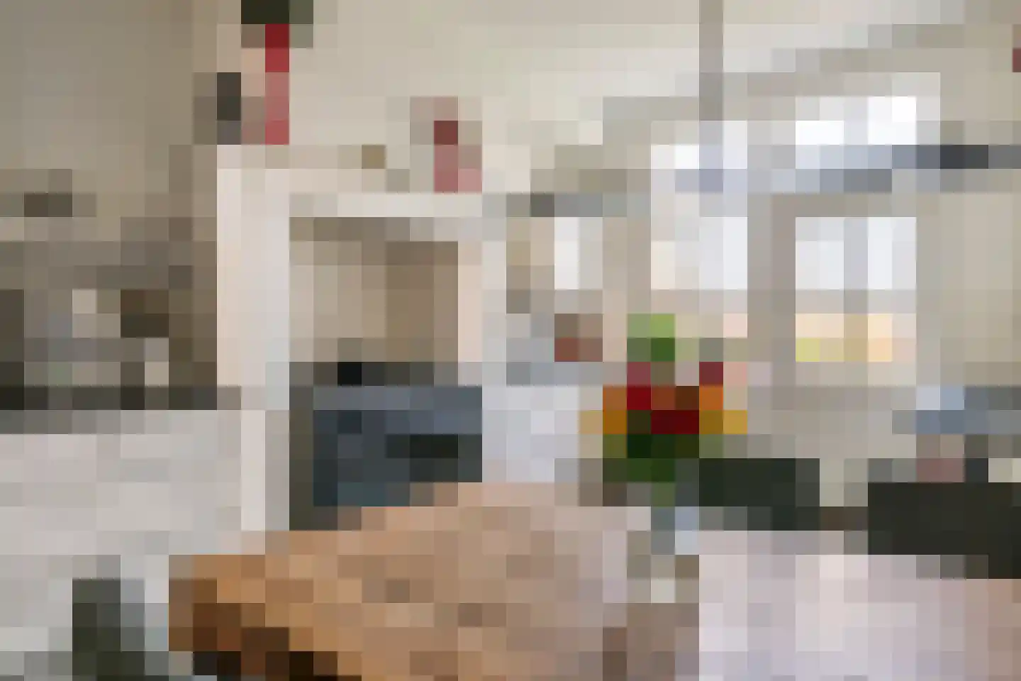 Achterstraat 24 Varik thumbnail 40