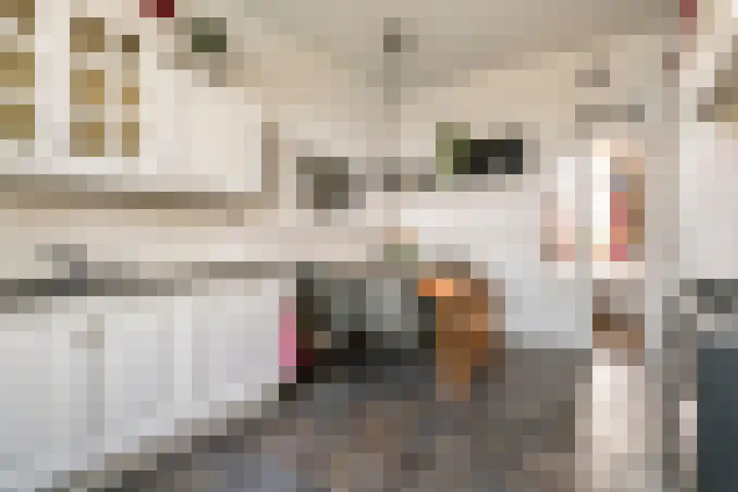 Achterstraat 24 Varik thumbnail 41