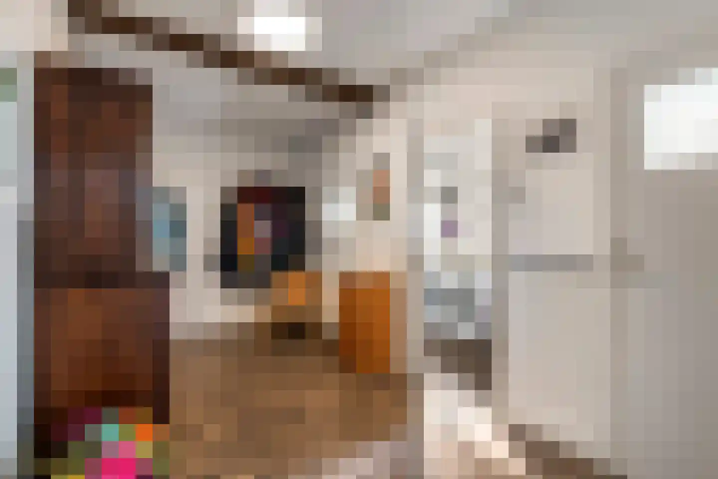 Achterstraat 24 Varik thumbnail 43