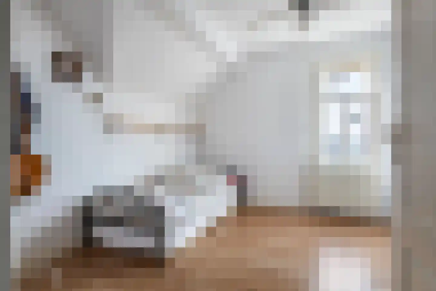 Achterstraat 24 Varik thumbnail 52