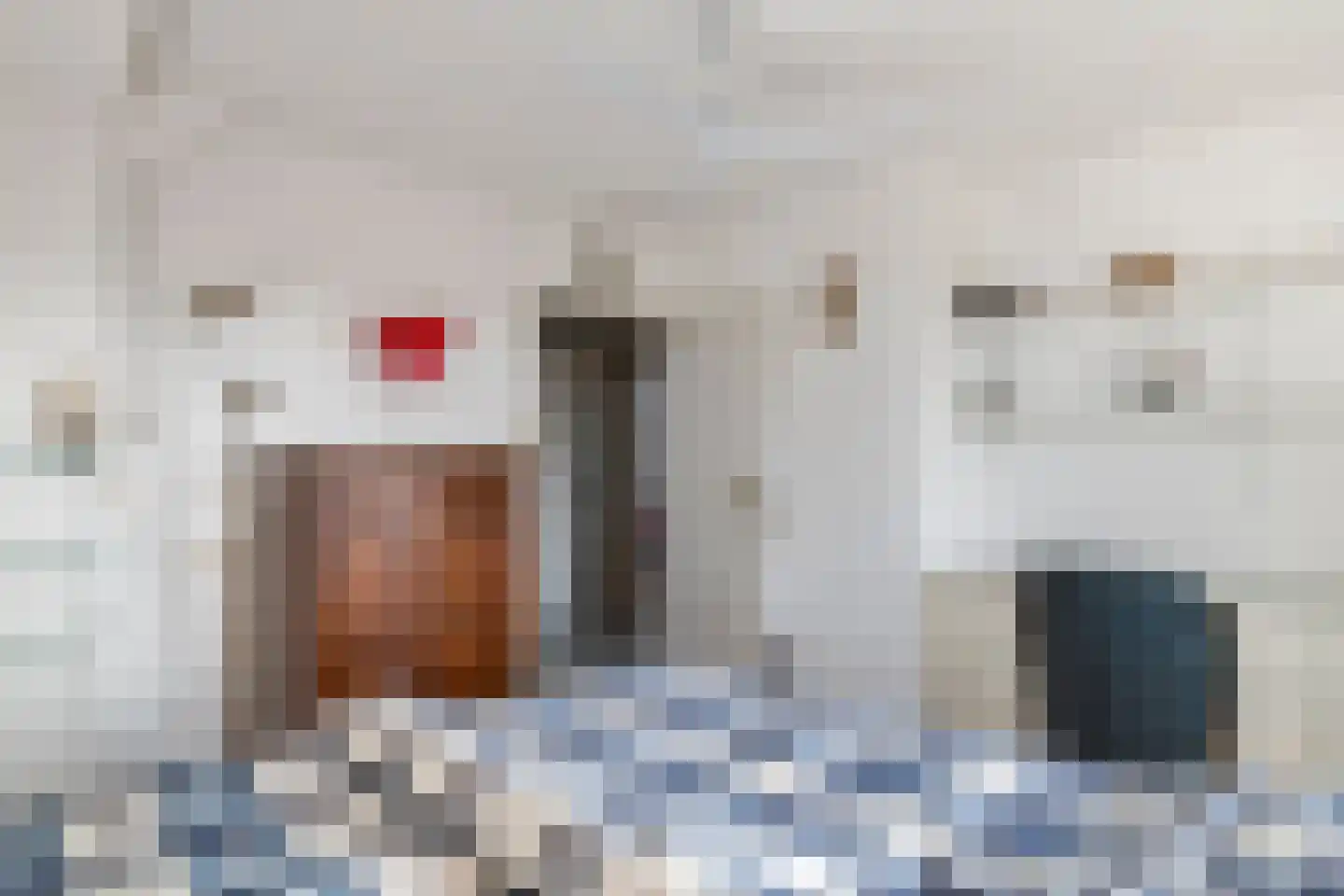 Achterstraat 24 Varik thumbnail 58