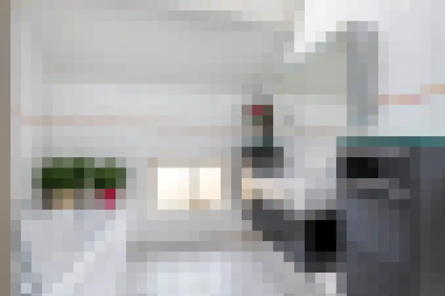 Achterstraat 24 Varik thumbnail 62