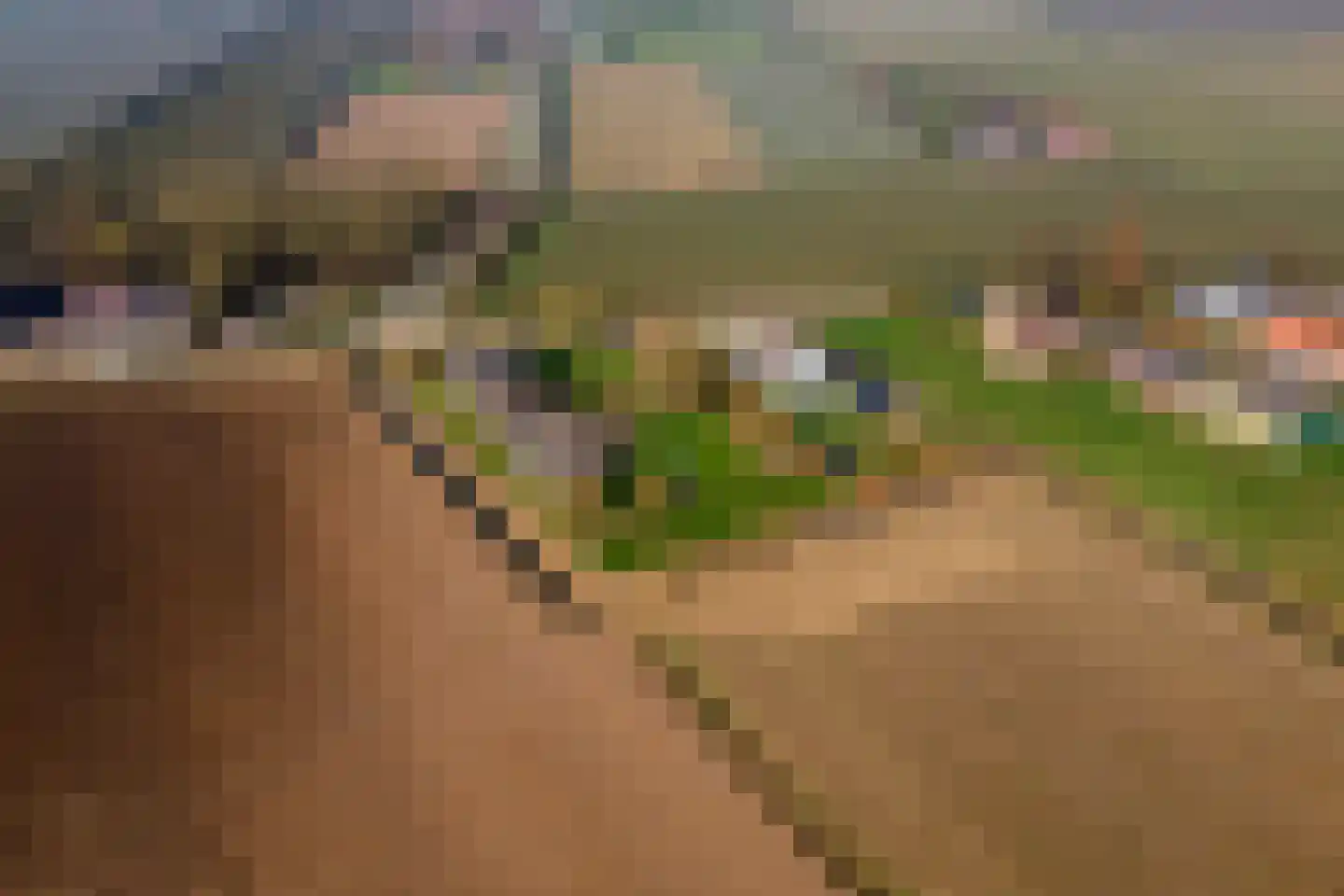 Achterstraat 24 Varik thumbnail 76