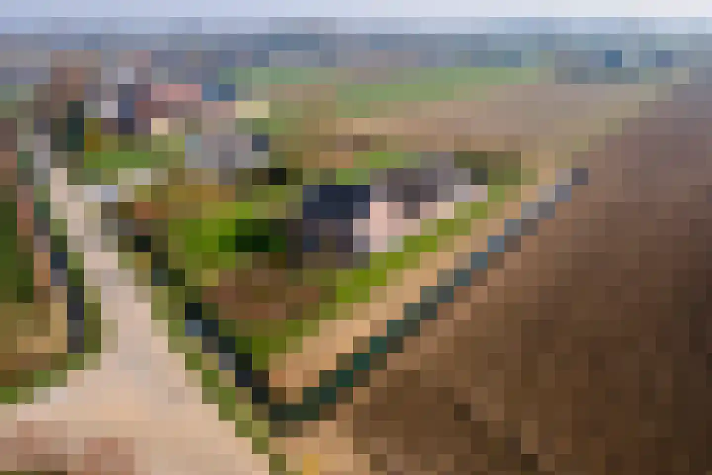 Achterstraat 24 Varik thumbnail 80