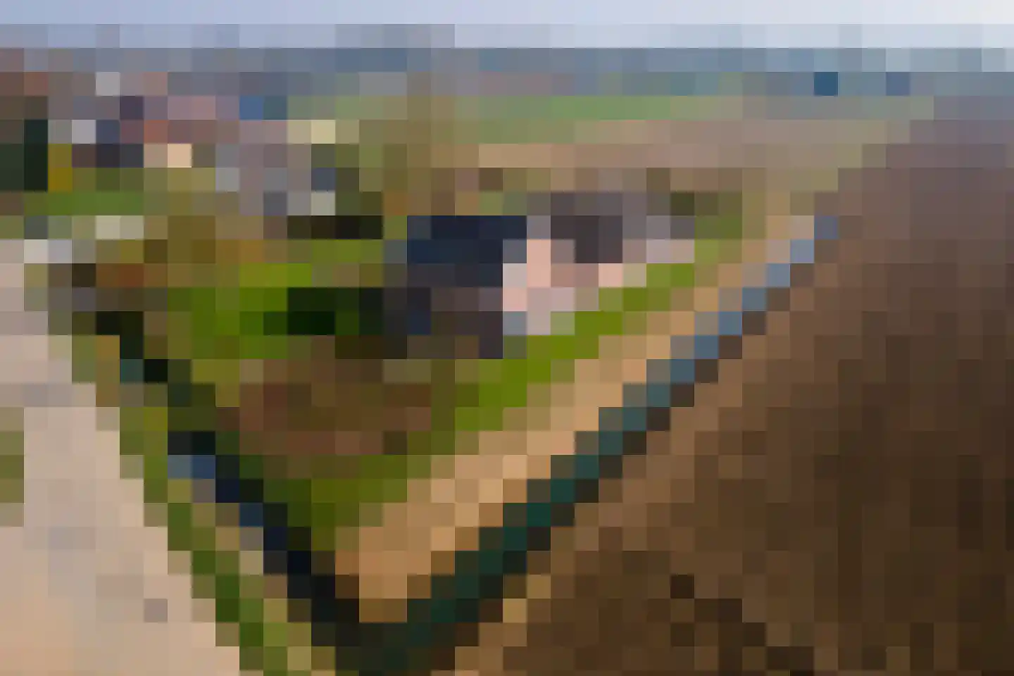Achterstraat 24 Varik thumbnail 81