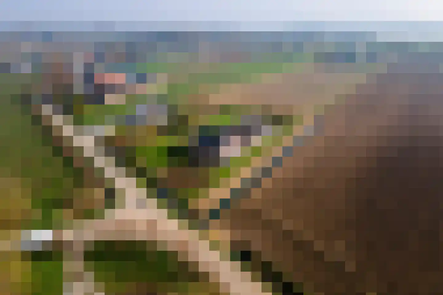 Achterstraat 24 Varik thumbnail 82