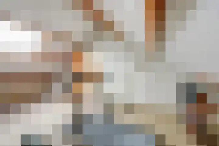 Achterstraat 24 Vlijmen thumbnail 35